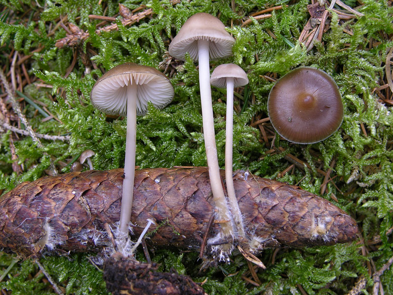 Qualche segno di vita....